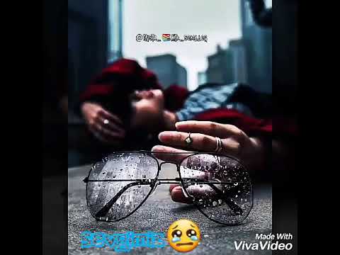 Tibu-son defe sene nifret edirem-2