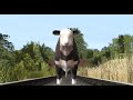 Sodor The True Stories Bulls Eyes Branch Line Engines 3