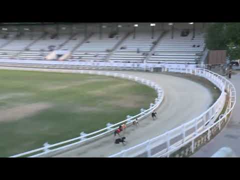 2022.06.24. 03. futam - Kincsem Park Sprint Derby Elődöntő I. futam