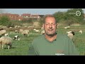 Gelderland in Beweging 14 april 2020