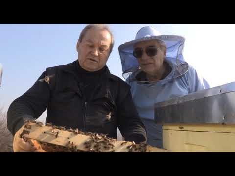 Boja meda ep. 57 09.04.2019. NAJAVA