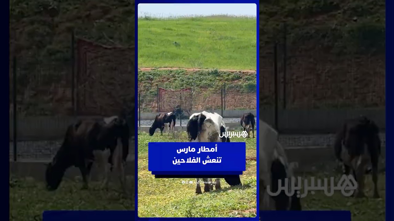 تساقطات مارس تبعث الأمل في نفوس فلاحي منطقة السهول thumbnail