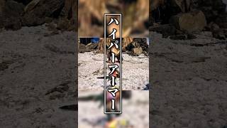 【MHWA】チャージアックス、ハイパーアーマーを手に入れる可能性…。 #shorts #モンハン #ゆっくり実況