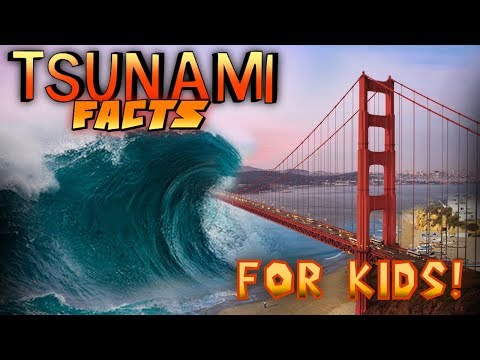 Tsunami - 8th grade