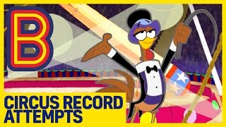 Marvo the Wonder Chicken | Circus World Record Attempts