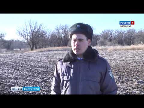 Управлением Россельхознадзора проведена проверка содержания сельхозугодий в Волгоградской области