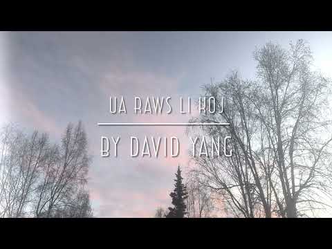Ua raws li koj - David Yang (cover)