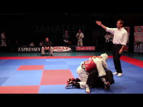 Hapkido fighters at Nordic Cup 2014