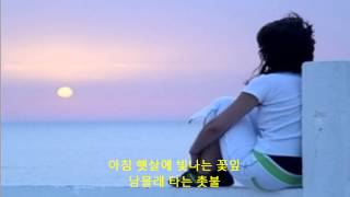 박인수,이수용 - 사랑의테마