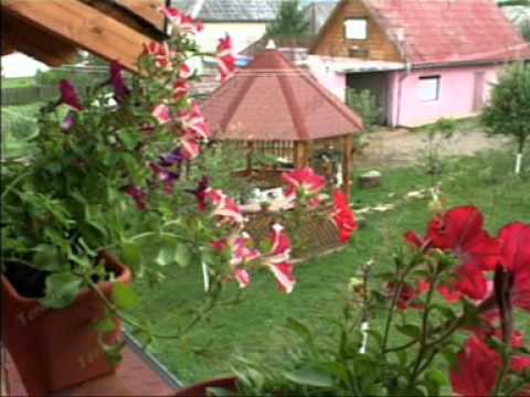 Cazare Rozavlea - Pensiunea Vanesa, Maramures.