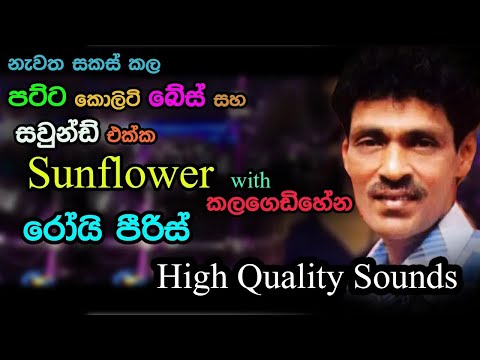 Roy Pieris with Sunflowers | Live in Kalagedihena | Re Created Quality Sounds