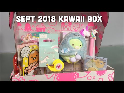 Kawaii Box September 2018 Box Review | Toy Tiny Video