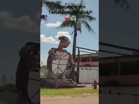 Chegando em Tartarugalzinho -AP 🚘🛣️