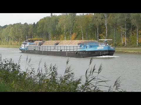 MS Cleopas  02314746