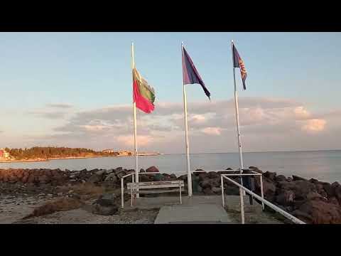 19.10.2025 Ravda Beach Cats
