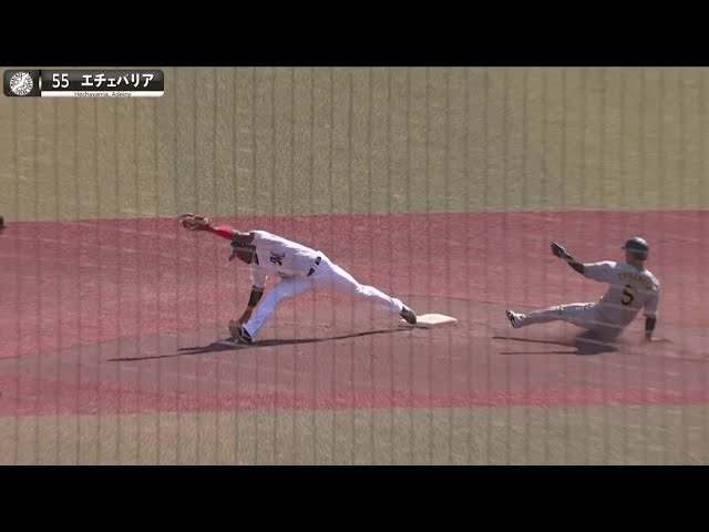 【ど地味な好守】マリーンズ・エチェバリア『身体がゴムみたいに伸びる』