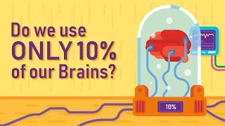 DO WE ONLY USE 10% OF OUR BRAIN?