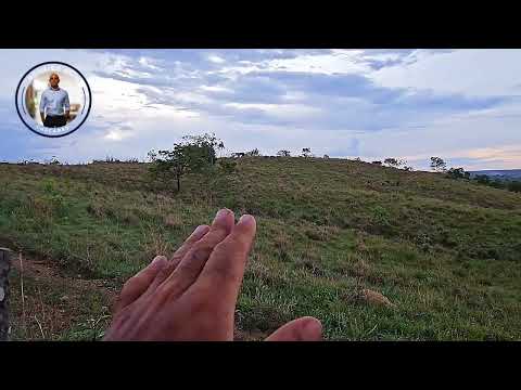 Chácaras Colorado Lago Corumbá IV Alexânia Goiás  - Tamanduá Bandeira (61) 99456-6311 