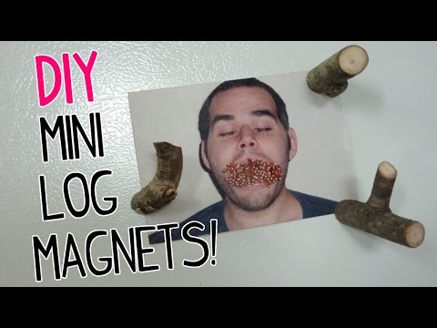 DIY Mini Log Magnets Video