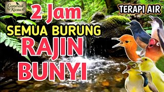 Download lagu SUPER AMPUH‼️ 2 JAM TERAPI AIR BIKIN SEMUA BURUNG JADI GACOR mp3