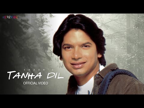 Shaan - Tanha Dil Tanha Safar (Music Video) | Popular Hindi Song