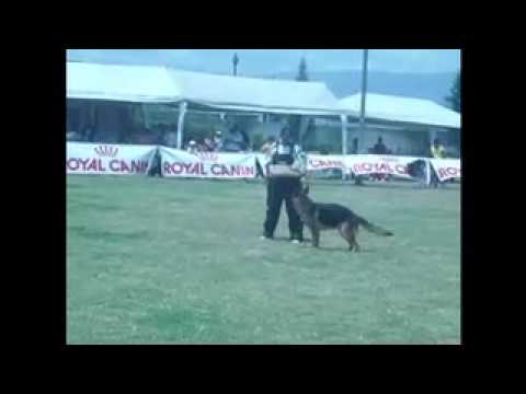 Defensas 18 de Agosto Acoa-Quito copy.mov