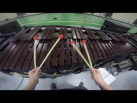 Dartmouth Indoor Percussion 2017 Xylo/Marimba Soloist Cam