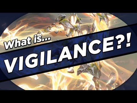 What IS Vigilance?