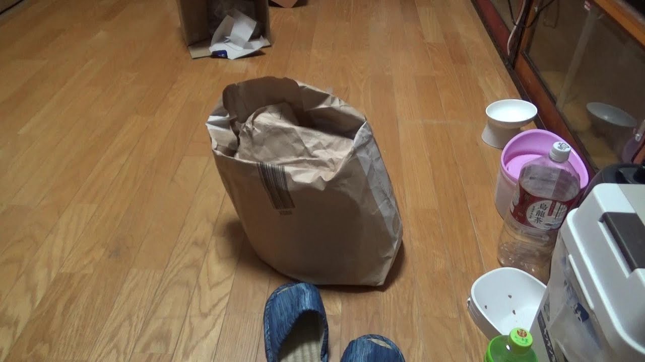 紙袋ですが何か？