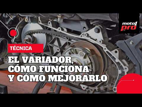 Video de YouTube