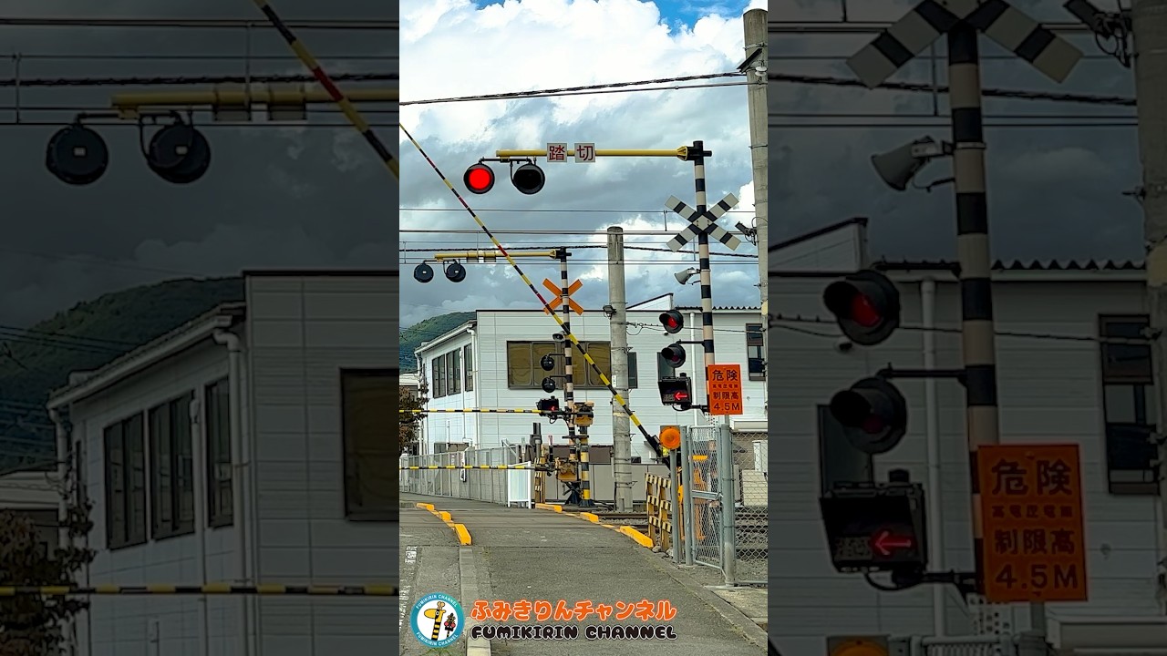 【踏切 電車】なにが通るかな？？？【ふみきりショート動画253】  #shorts
