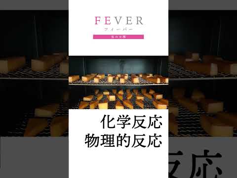 【FEVER#014】何でも一等賞になる。【南九州大学】#肉の竹之山 #宮崎牛　#食品学 #南九州大学  #進学 #受験 #大学受験 #大学生 #宮崎 #宮崎県