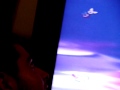 Duck TV Up Close