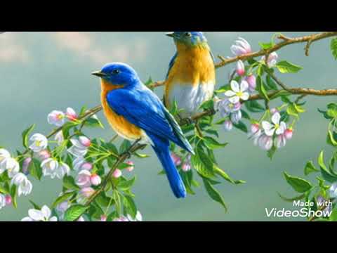 download lagu mp3 mp4 quinoxe Printemps 2019, download mp3 quinoxe Printemps 2019 free download, download mp3 quinoxe Printemps 2019