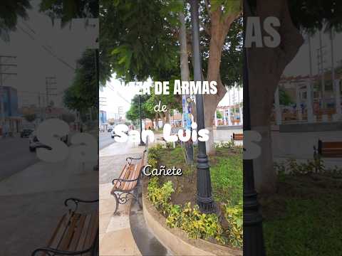 🌴 ¡EL CORAZÓN DEL RITMO! Plaza de Armas de San Luis de Cañete 🇵🇪✨