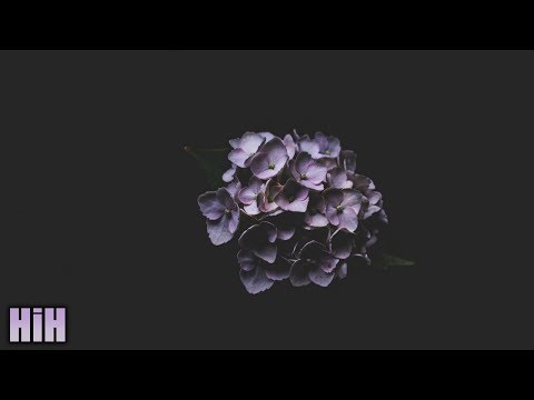 Diversion - Get Closer ft. Marcelle Antunes