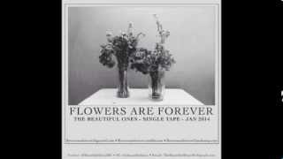 TBO - Flowers are Forever