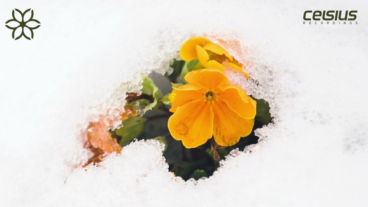 Echomatics - Breakthrough