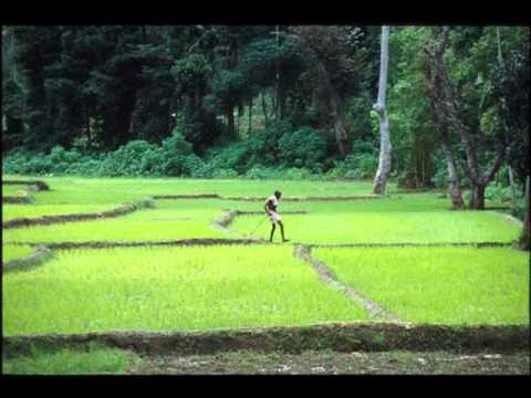 children-song-diya habarala