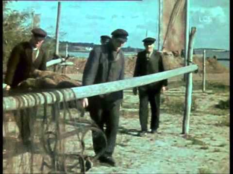 Die Goldene Sieben - Warum liebst du mich nicht mehr (1939)