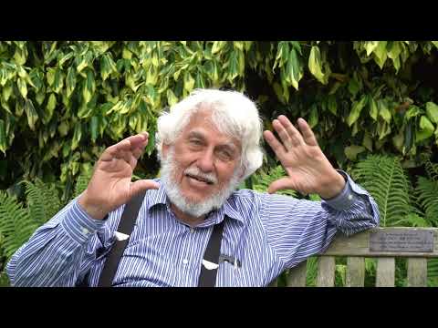 An interview with Bill Unruh - Part IV: Analogue Gravity