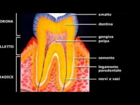 Collo caldo con osteocondrosi Flebo di osteocondrosi