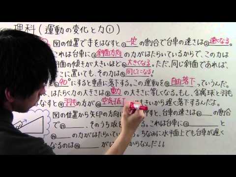 動画サムネイル