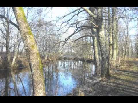 Dan Seals - Why This River Runs (2002)