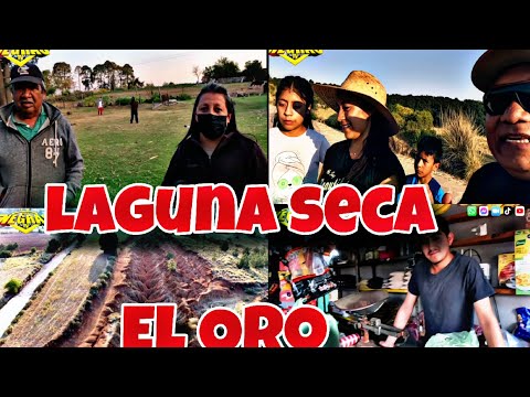 🌟 Visitamos La Comunidad De Laguna Seca en Santa Rosa de Lima El Oro Estado de México