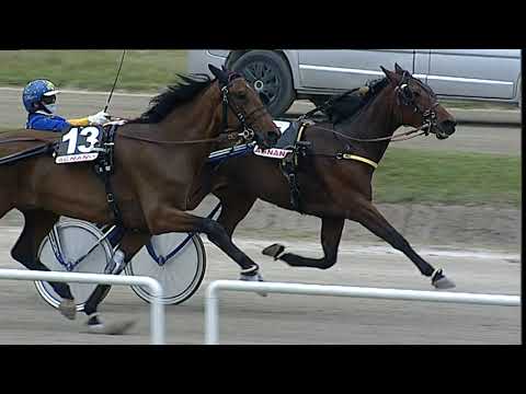 Napoli Trotto 29/04/2023 - 2ª corsa