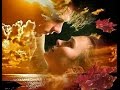 Bruce Springsteen I Wish I Were Blind
