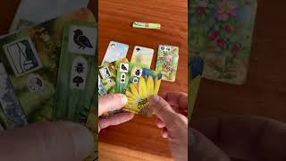 Unknown Channel - Meadow video thumbnail