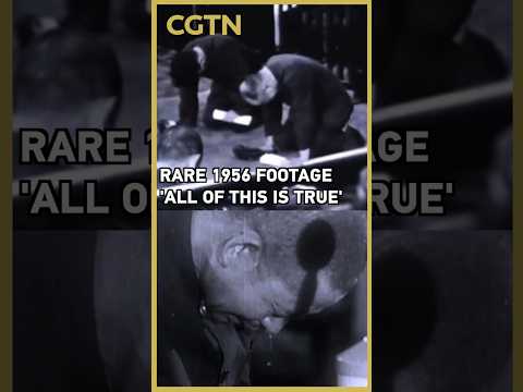 Rare 1956 footage shows Japanese war criminals weeping and confessing in court