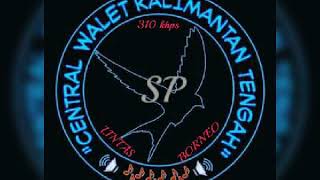 Download lagu Sp LINTAS BORNEO legendaris respon tetap mantap.. mp3 Download lagu Sp LINTAS BORNEO legendaris respon tetap mantap.. mp3